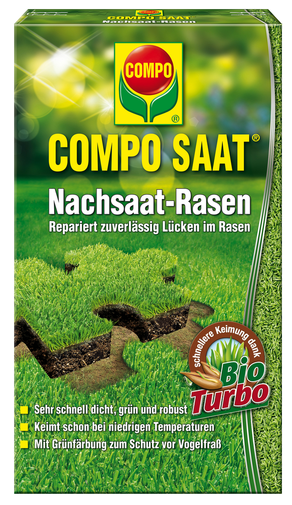 COMPO SAAT Nachsaat-Rasen 25qm 500g COMPO COMPO SAAT Nachsaat-Rasen 25qm 500g Compo EREG