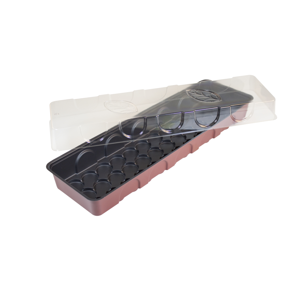 WINDHAGER HANDELSGESELLSCHAFT FB-Treibhaus 54,5x16,5x11cm 