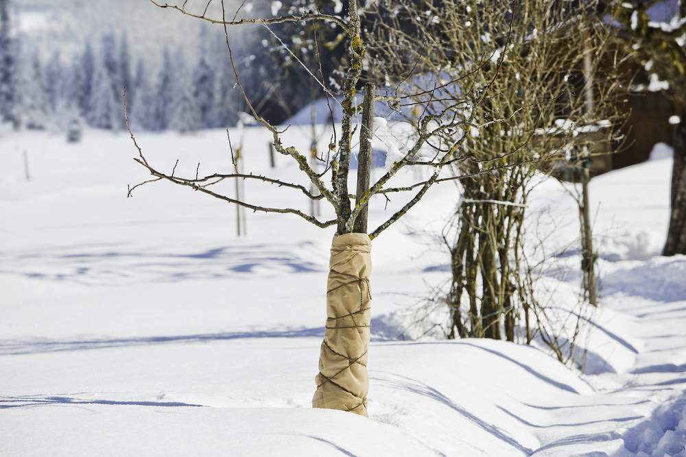 WINDHAGER HANDELSGESELLSCHAFT Winter-Vlies SUPERPROTECT 70g/m² 3x1,5m 