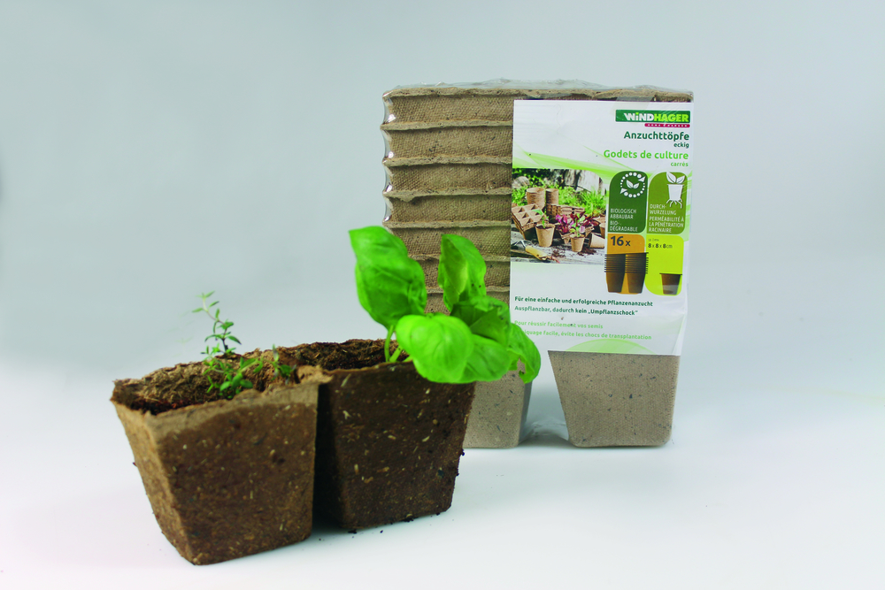 WINDHAGER HANDELSGESELLSCHAFT Anzucht-Toepfe 8cm eckig 16 Stk/Pkg 