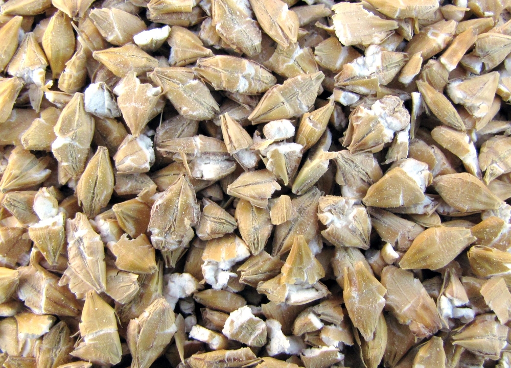 Quetschgerste 25kg MISCHFUTTER RUPPENDORF Quetschgerste 25kg