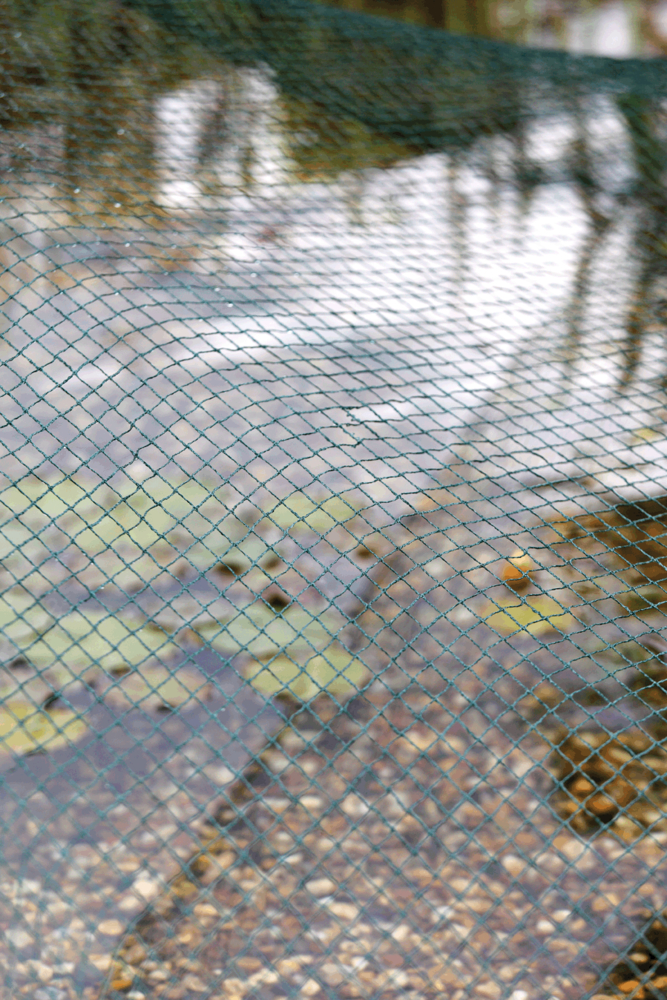 OASE GMBH AquaNet Teichnetz 1 / 3 x 4 m 